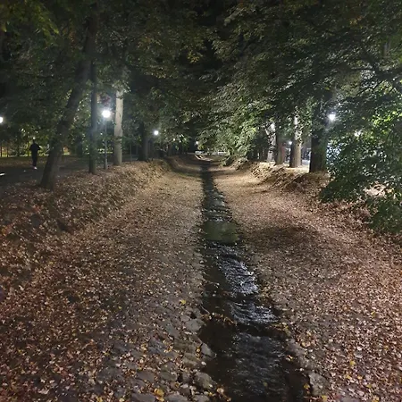 Апартаменты Dunjic