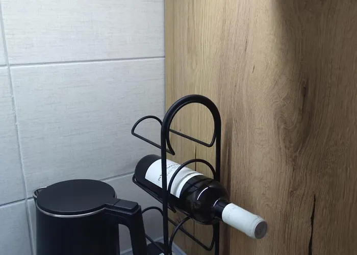 Apartament Dunjic Vrnjačka Banja